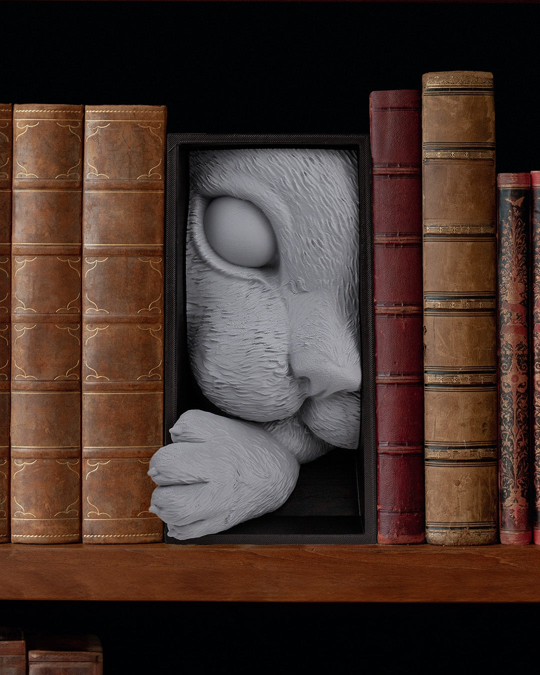 Cat's Curiosity Book Nook (Black-Gray)