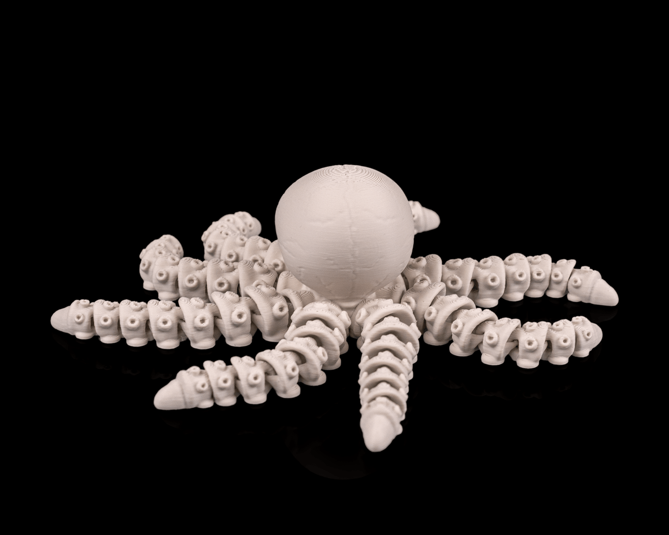 Skeleton Octopus (Bone White)