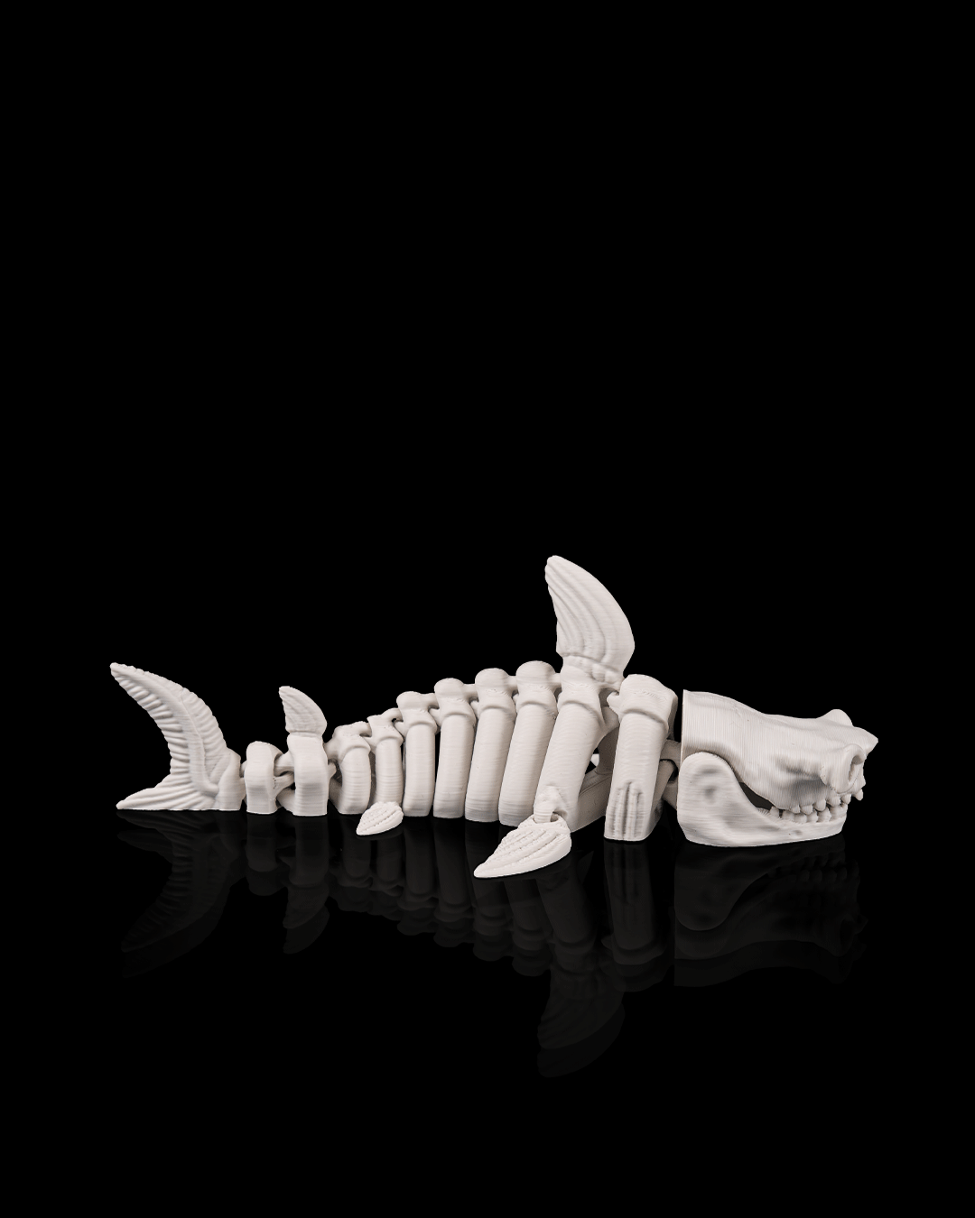 Skeleton Shark (Bone White)