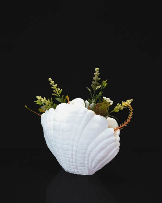 Shell Vase (White)