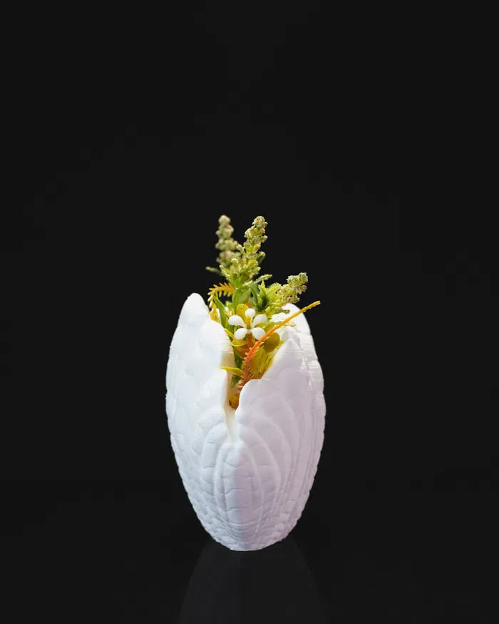 Shell Vase (White)