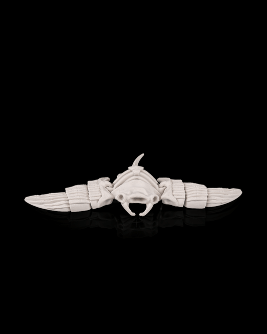 Skeleton Manta Ray (Bone White)