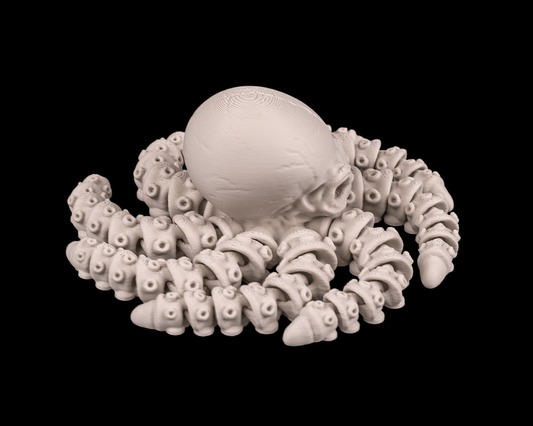 Skeleton Octopus (Bone White)