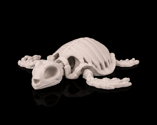 Skeleton Turtle (Bone White)
