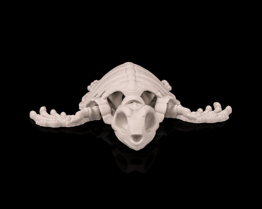 Skeleton Turtle (Bone White)