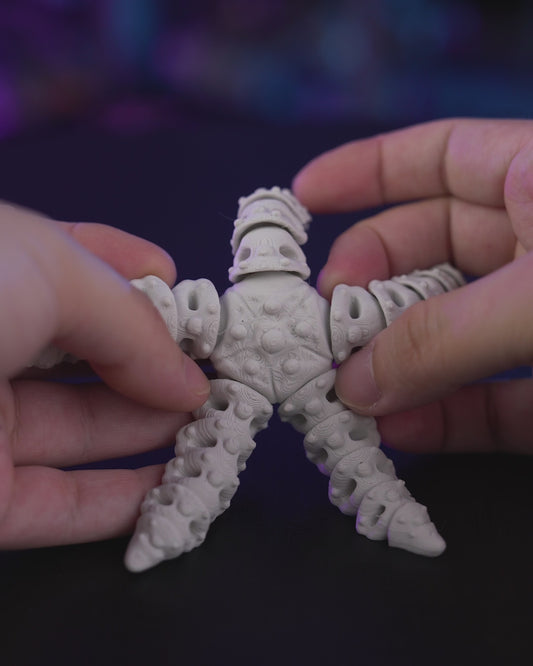 Skeleton Starfish (Bone White)