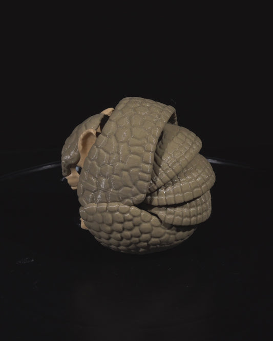 Armadillo Articulated